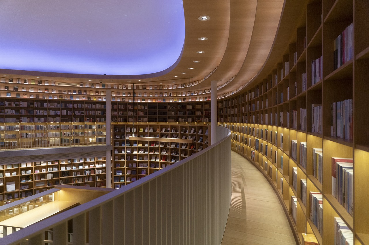 modern library shelves
